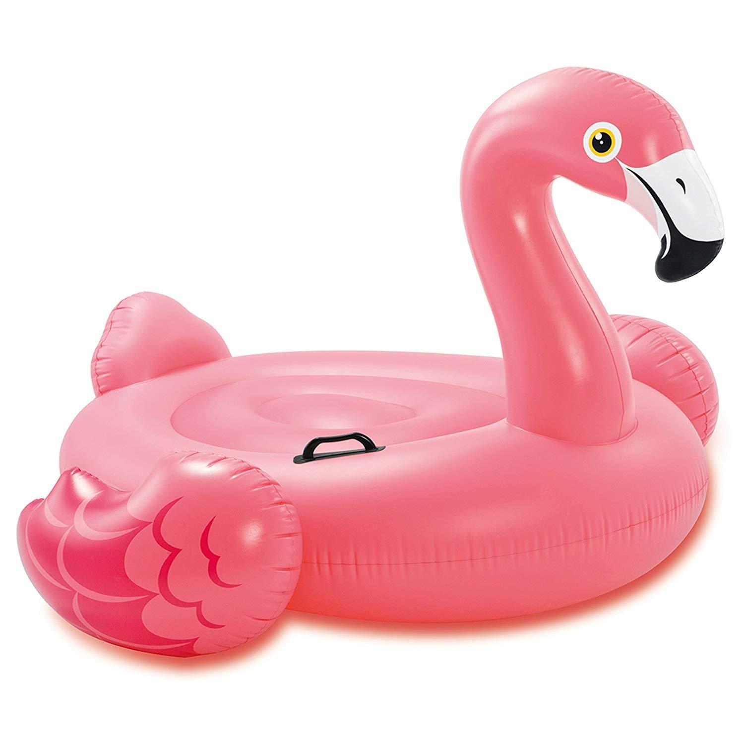 Intex  Inflatable Pool Float