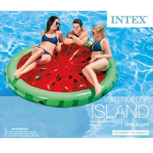 Intex  Inflatable Pool Float Lounge