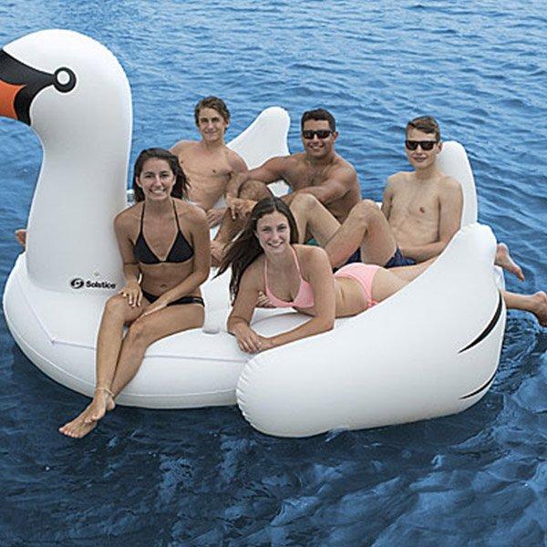 big swan floatie