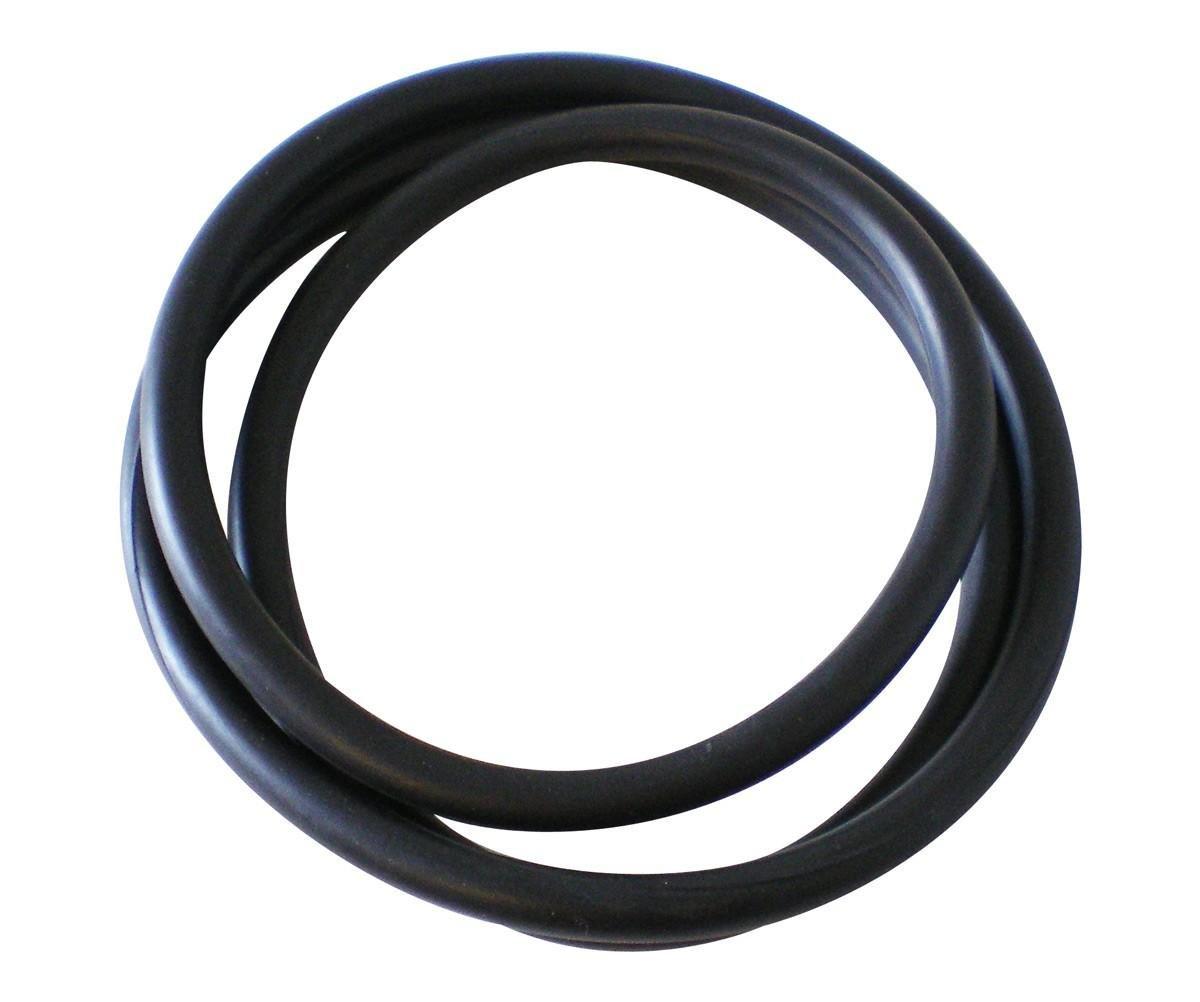 Aladdin Pool Filter Tank ORing for Nautilus Leslie's Pool Supplies