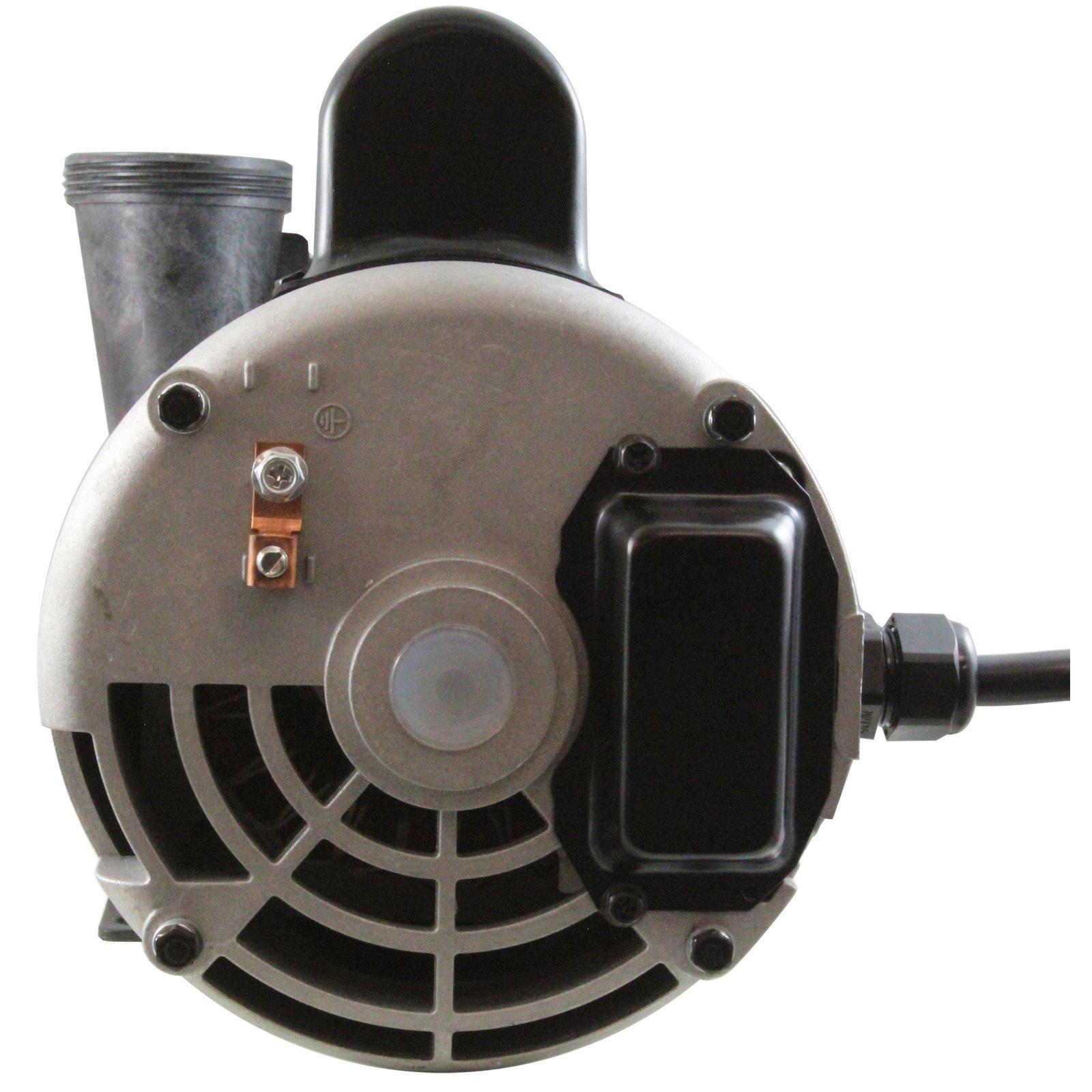 Executive 56 Spa Pump 3HP 2-Speed 230V 60HZ