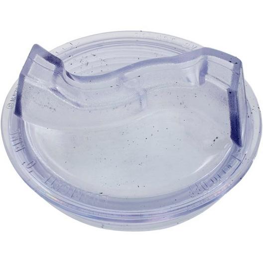 Pentair  Lid for 6in Trap