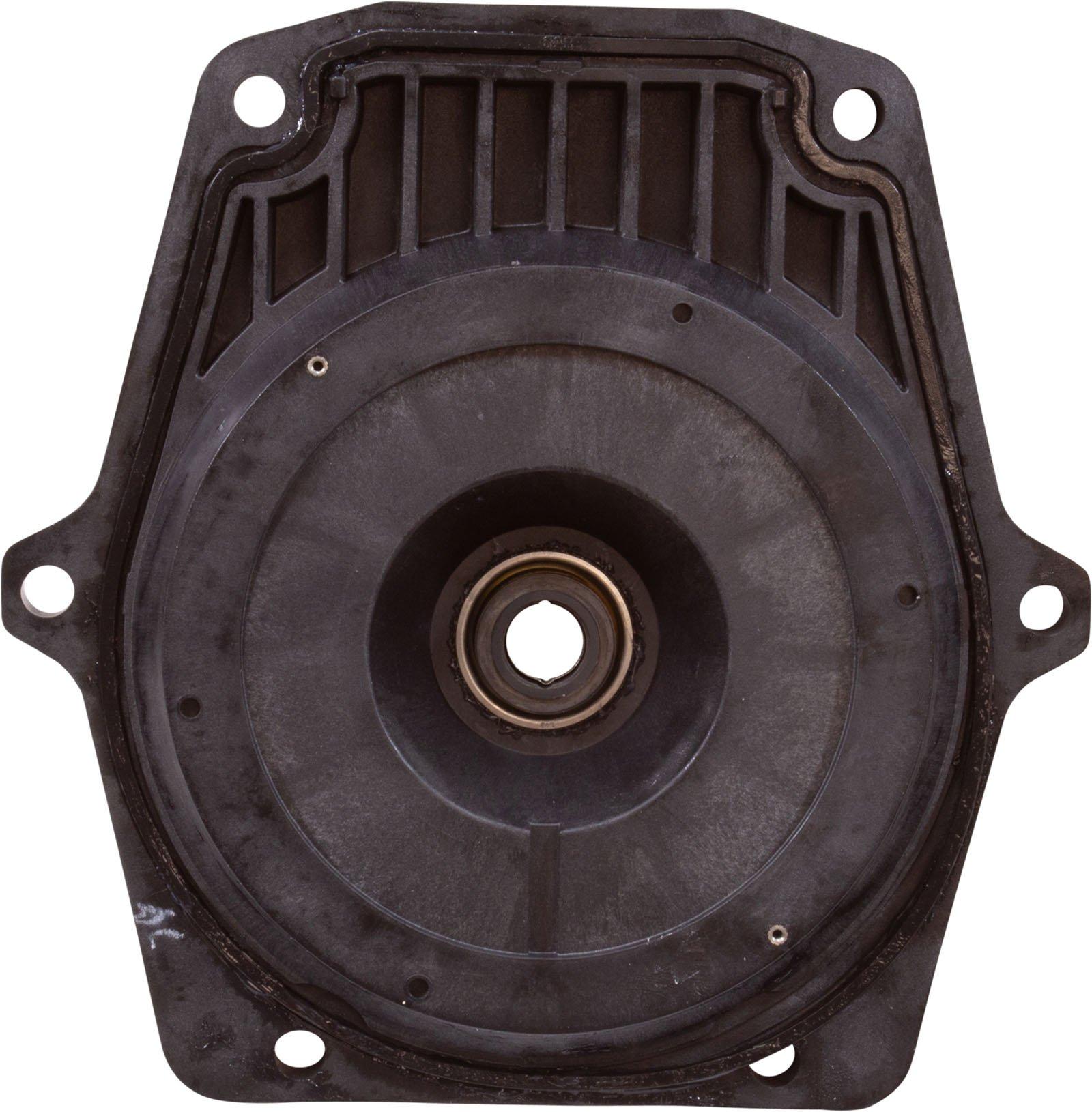 Pentair  Replacement Sealplate Kit WFE Black No Gasket