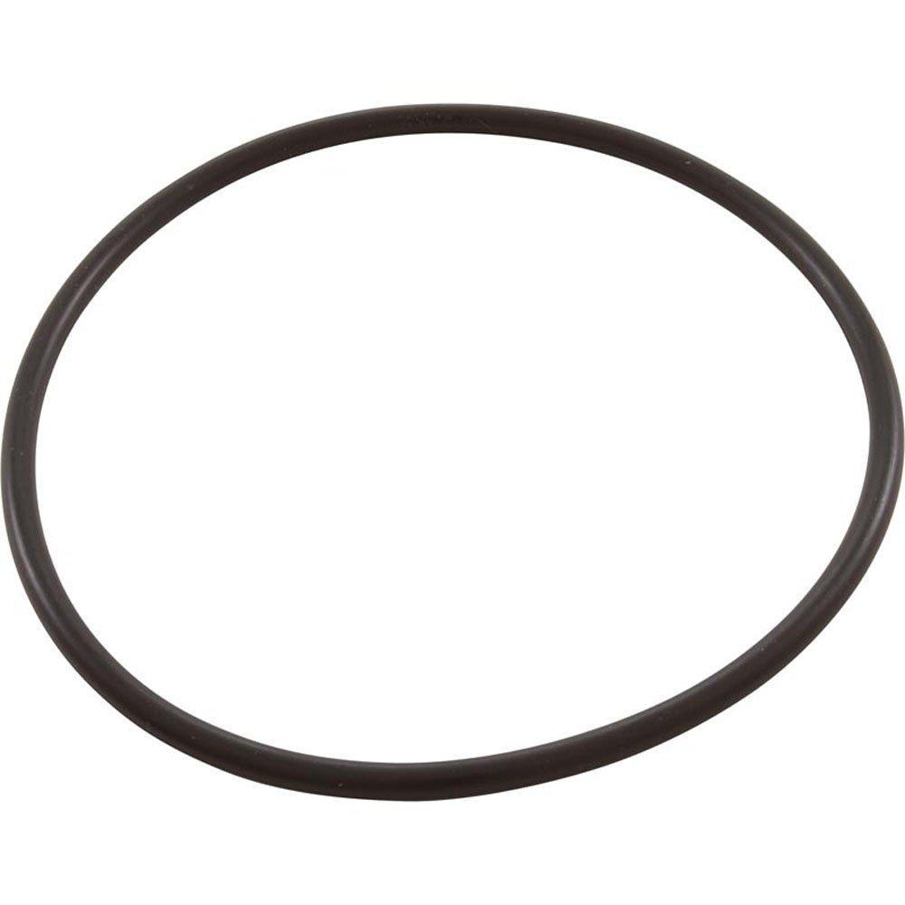 Jacuzzi&reg  O-Ring Lid