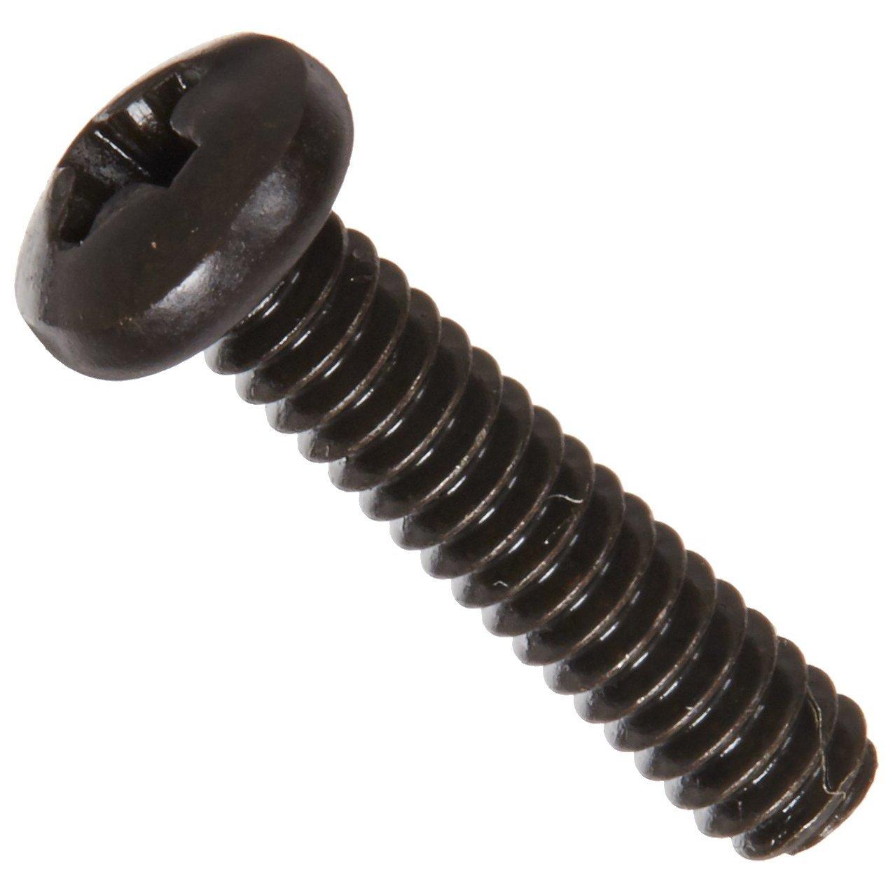 Pentair  Screw 3/4 inch Phillips black