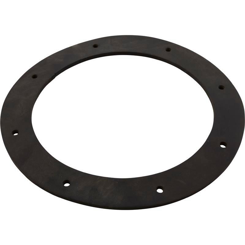 Speck Pumps  Gasket