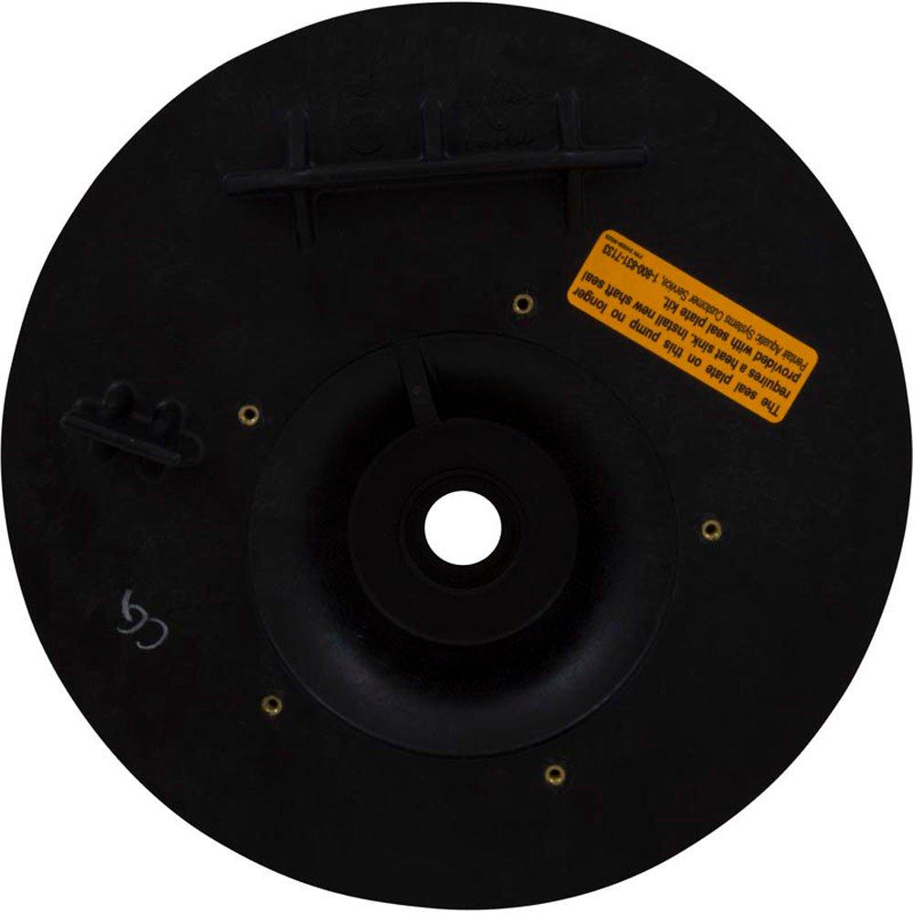 Pentair  C203-194P Seal Plate Kit