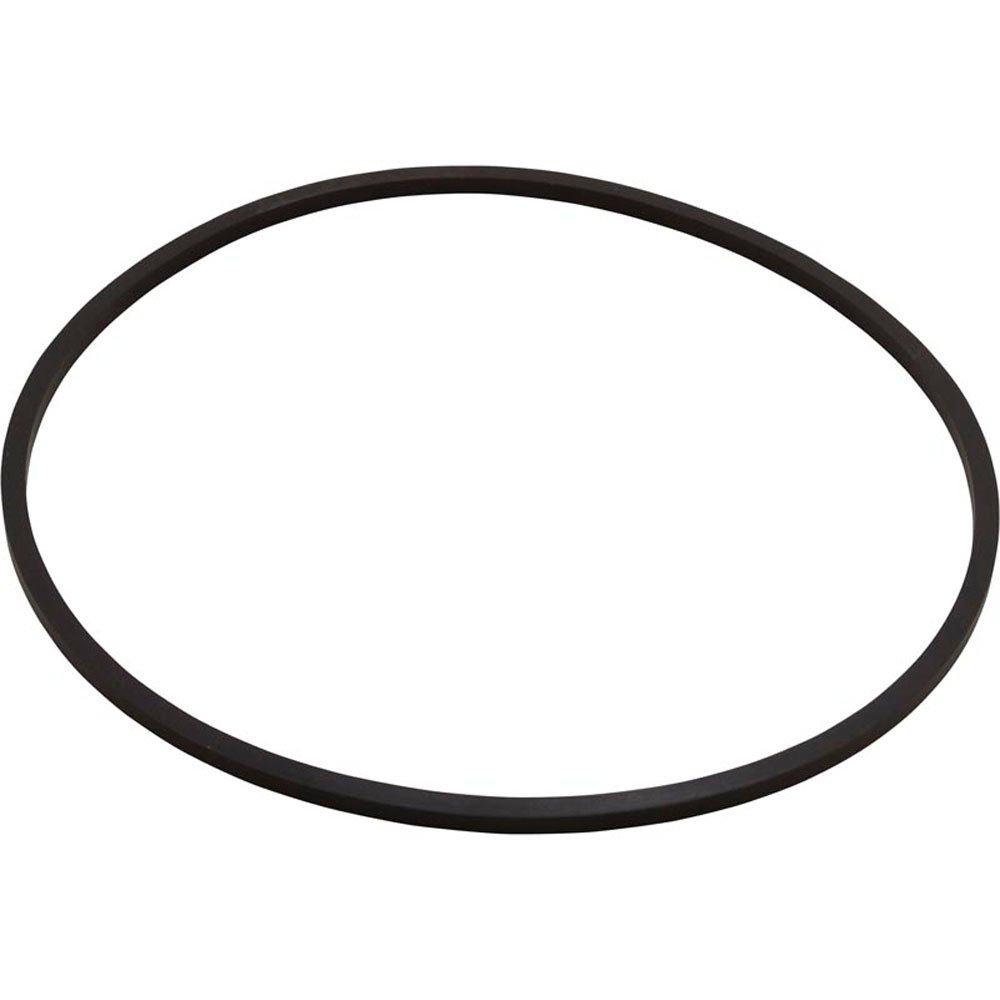 Pentair  C203-194P Seal Plate Kit