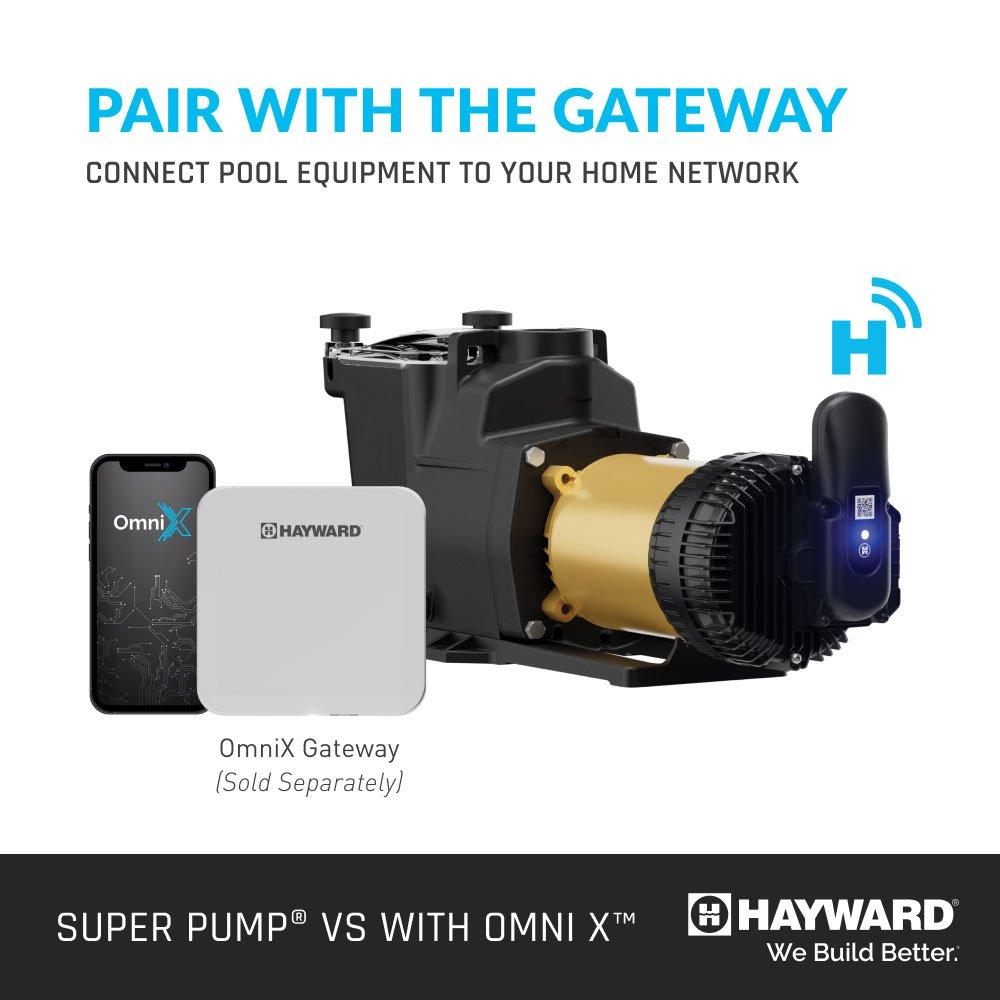 W3VSP26620 Super Pump VS 620 with OmniX Variable Speed Pool Pump, 2.25 THP, 230/115V