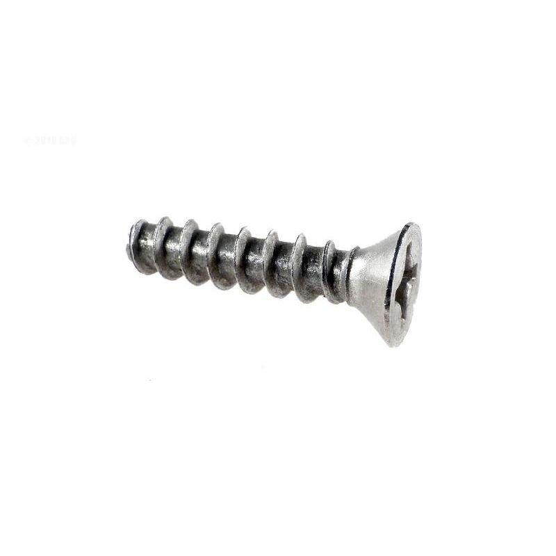 Pentair  Screw