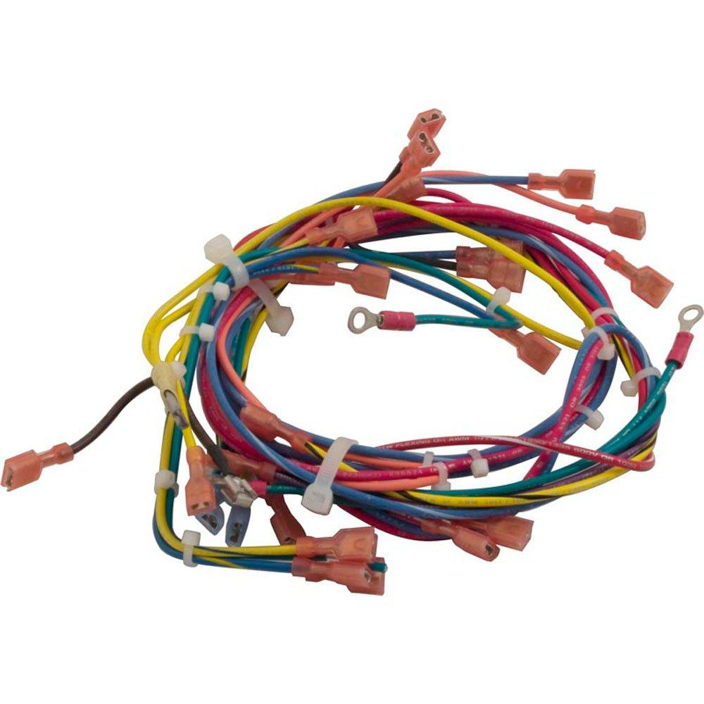 Raypak - Wire Harness, Dsi, 130