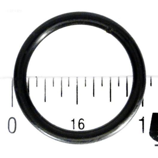 Pentair  O-Ring Lateral