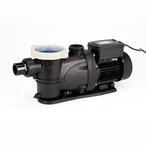 Jacuzzi&reg  2.0 HP 2-Speed Above Ground Pump