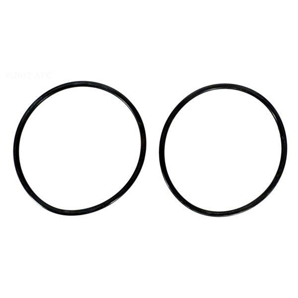 Jandy  Replacement O-Ring Diffuser 3 HP