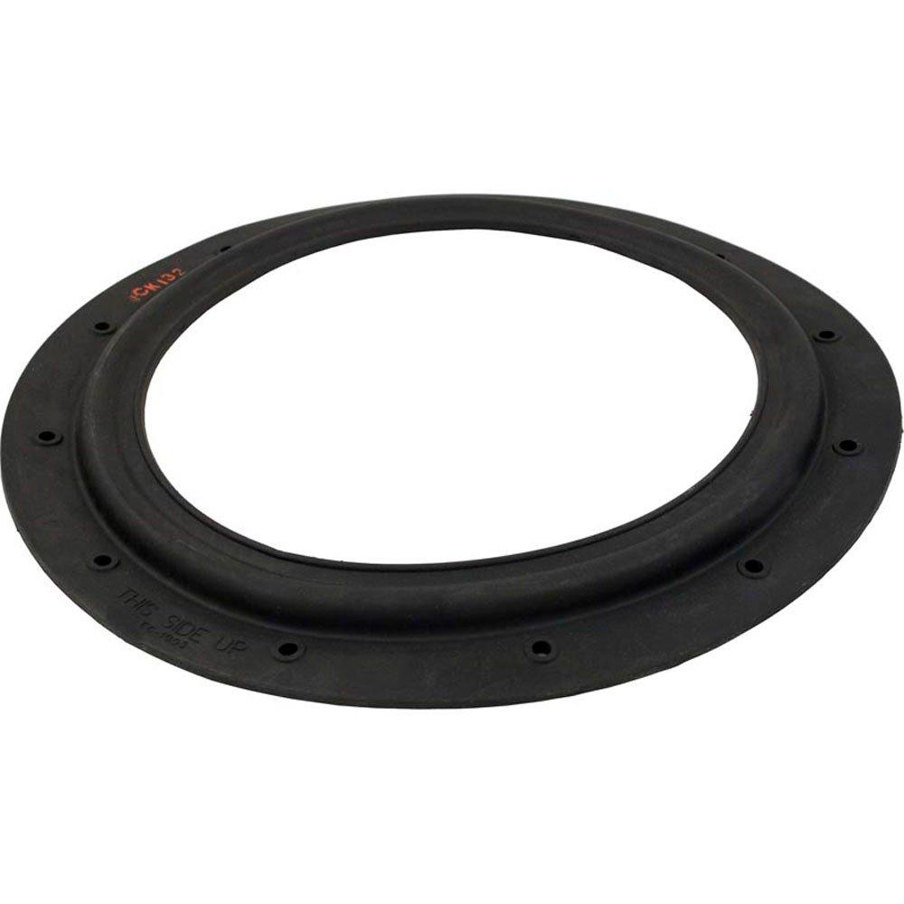 Epp - Gasket, Diaphragm, EC50A