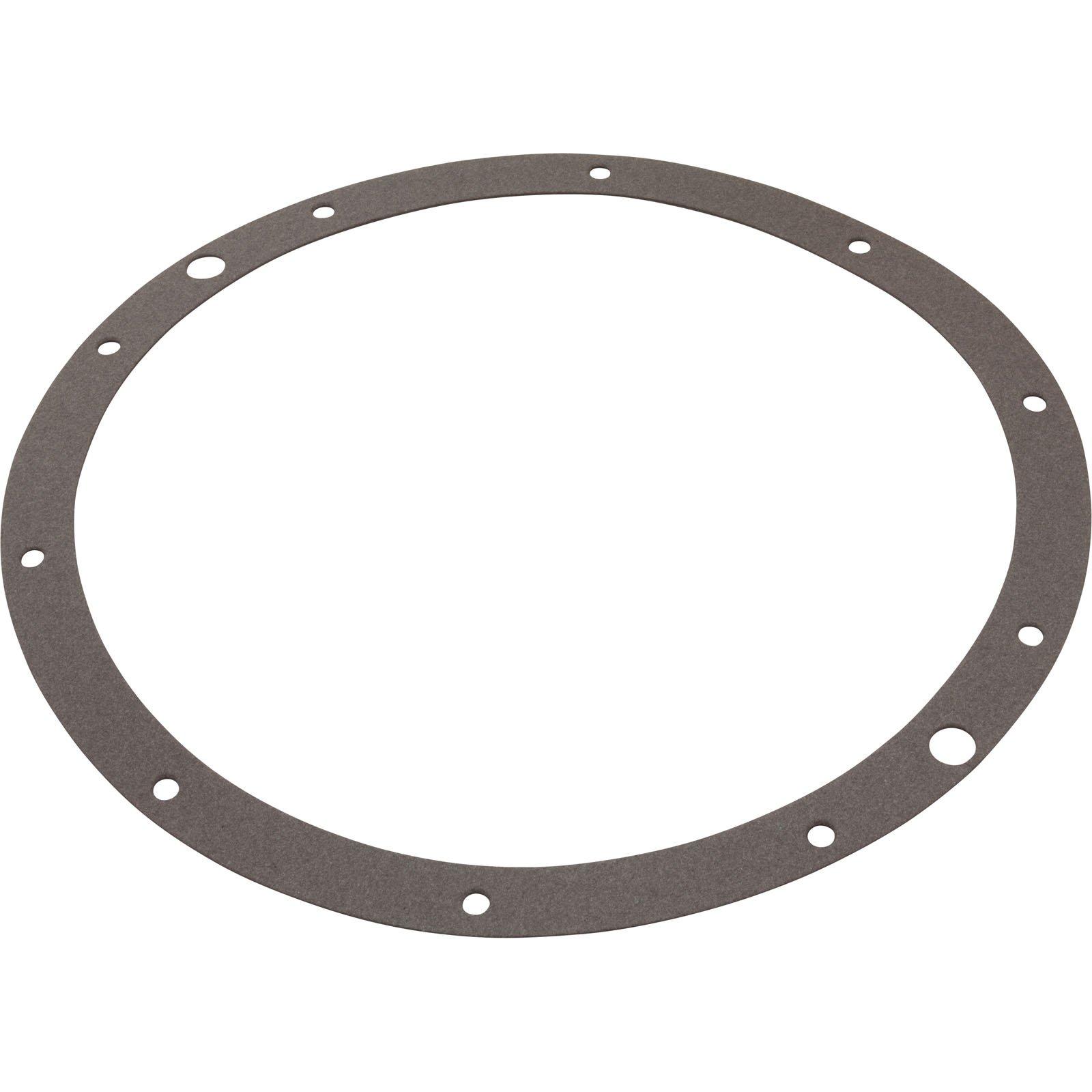 G-96 Replacement Gasket for Hayward SPX506D