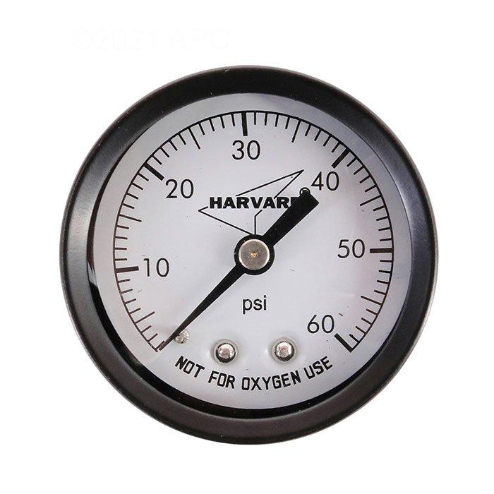 Pressure Gauge .25in MPT Back