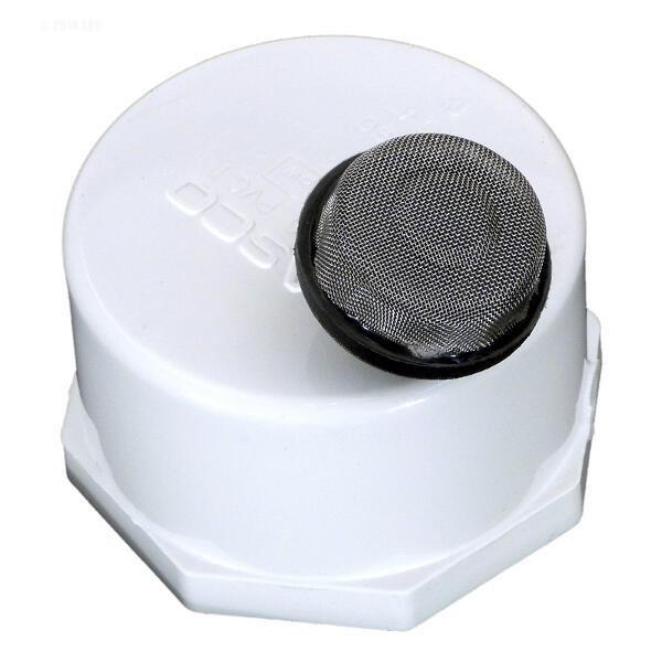 Pentair  Cap and Strainer Assembly