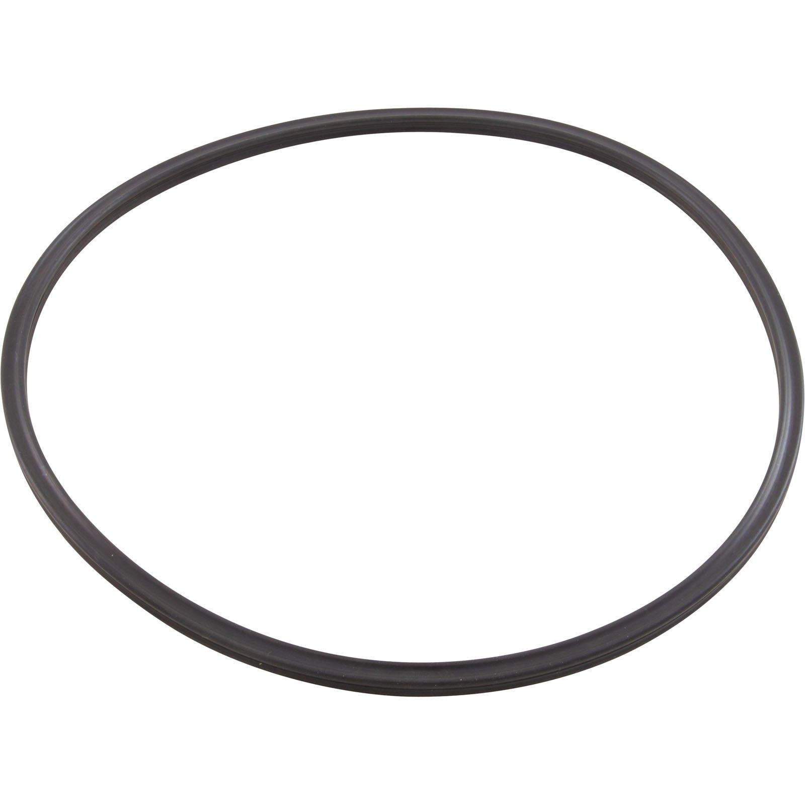 Quad Ring, Pentair Tagelus/Triton II, Valve Adapter