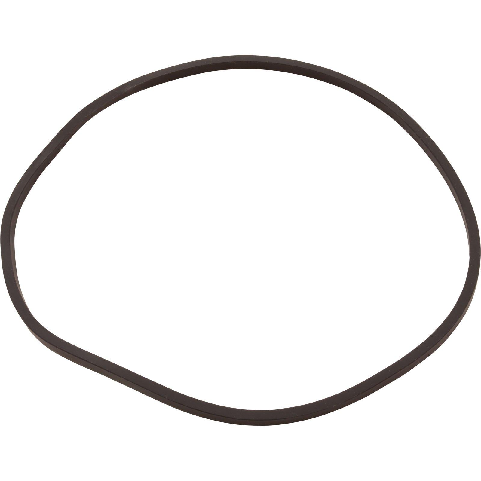 All Seals  Replacement Filter Tank Lid Gasket for Pentair Triton TR100C/TR140C