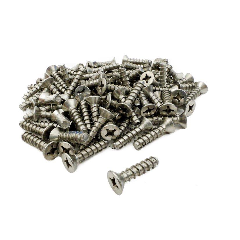 Stainless Steel Skimmer Screws 100-Pack