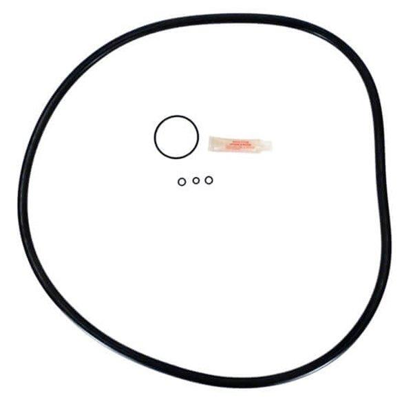 Hayward MicroClear DE Filter Oring Kit In The Swim