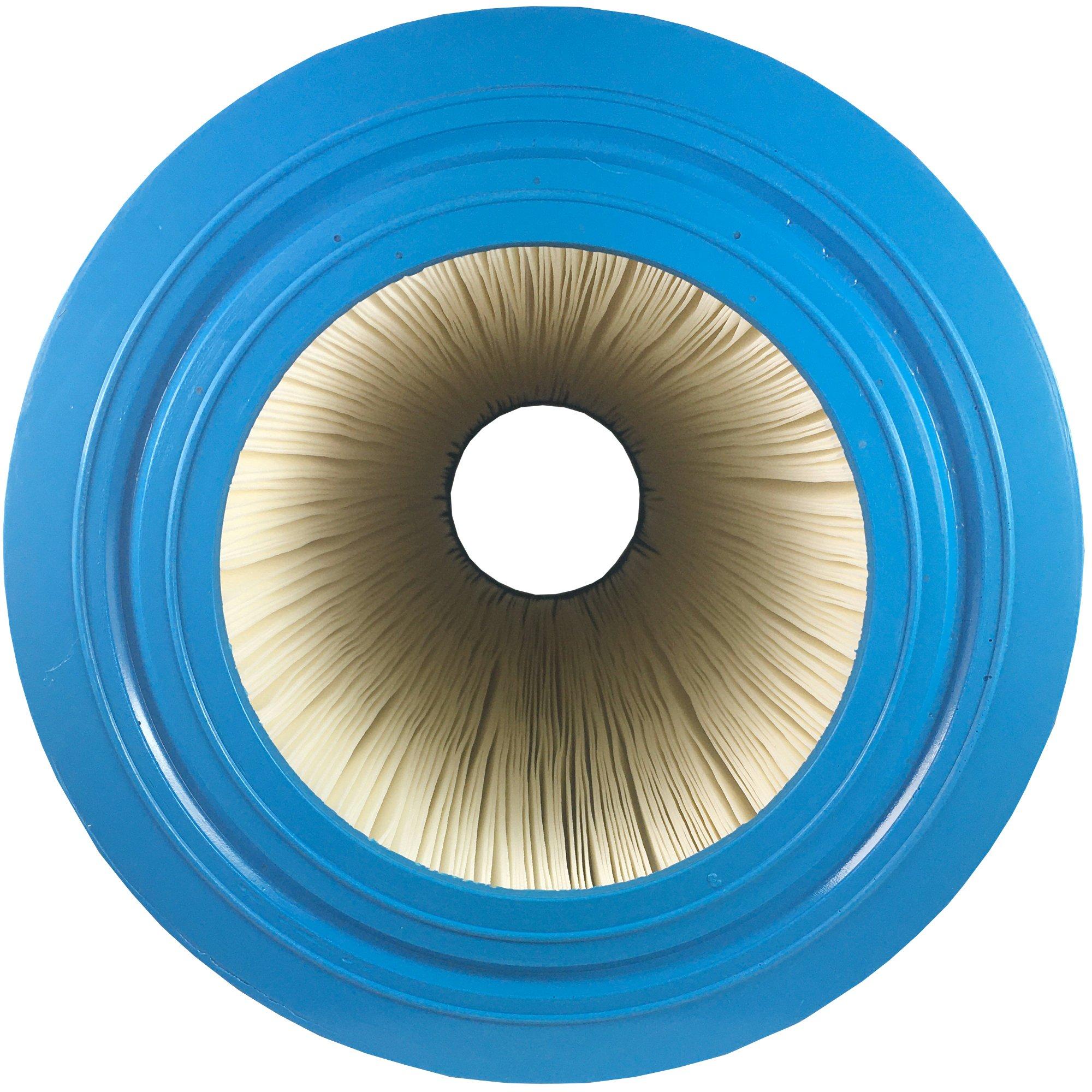 In The Swim  Premium Filter Cartridge Replacement for Pentair Clean and Clear 200 Predator CC200