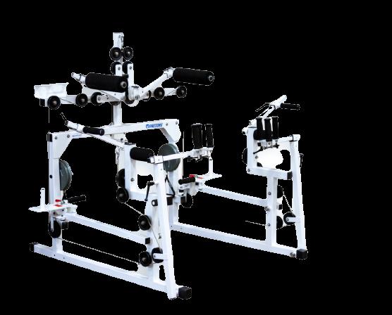 PROTONE FITNESS MACHINE