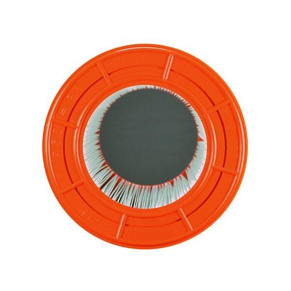 PAP754 Replacement Filter Cartridge for Clean and Clear 75 & Predator