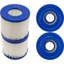 PBW4PAIR Replacement Filter Cartridge 2-Pack for Intex Sand-N-Sun Type D, 6 sq. ft.