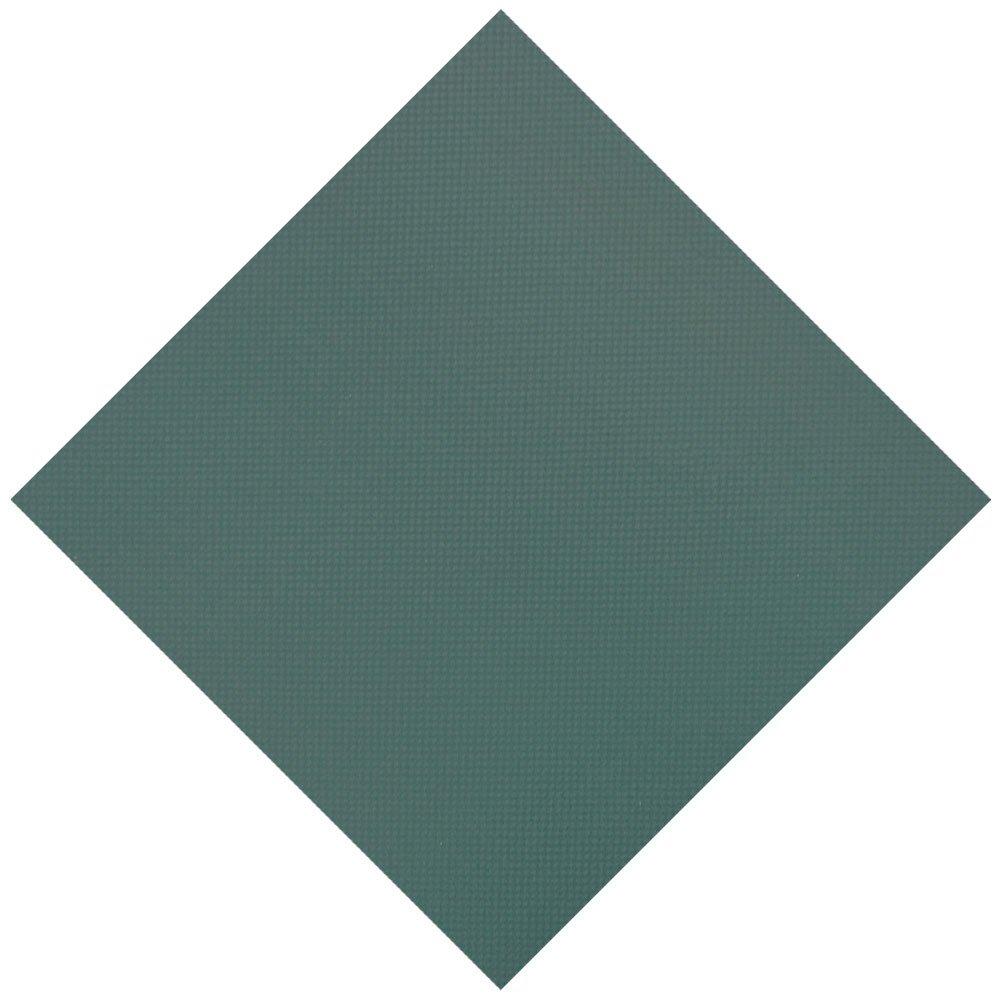 Leslie's  Pro Supreme Solid 18 x 36 Rectangle with 4 x 6 Center End Step Safety Cover with Kleen Screen Drain Green