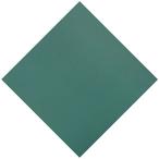 Leslie's  Pro Solid 20 x 42 Rectangle Safety Cover Green