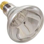 Pentair  Company Bulb  12V 100W