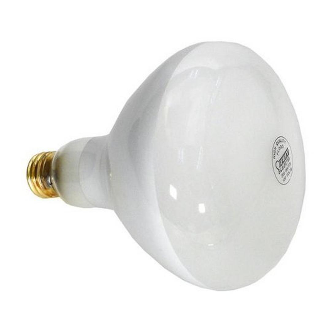 Feit Electric Company Bulb 120v 500w