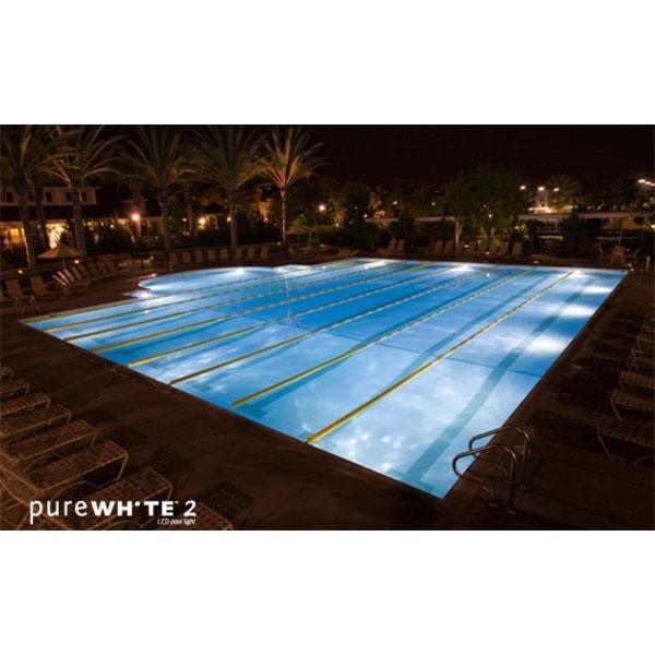 J&J Electronics  PureWhite 2 LED 12V 10W White LED Pool and Spa Light Fixture
