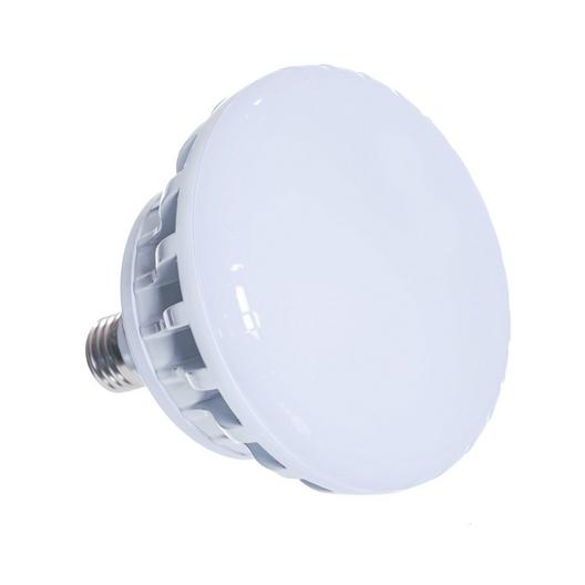 Jacuzzi  JSL LED Spa Light Lamp 12V