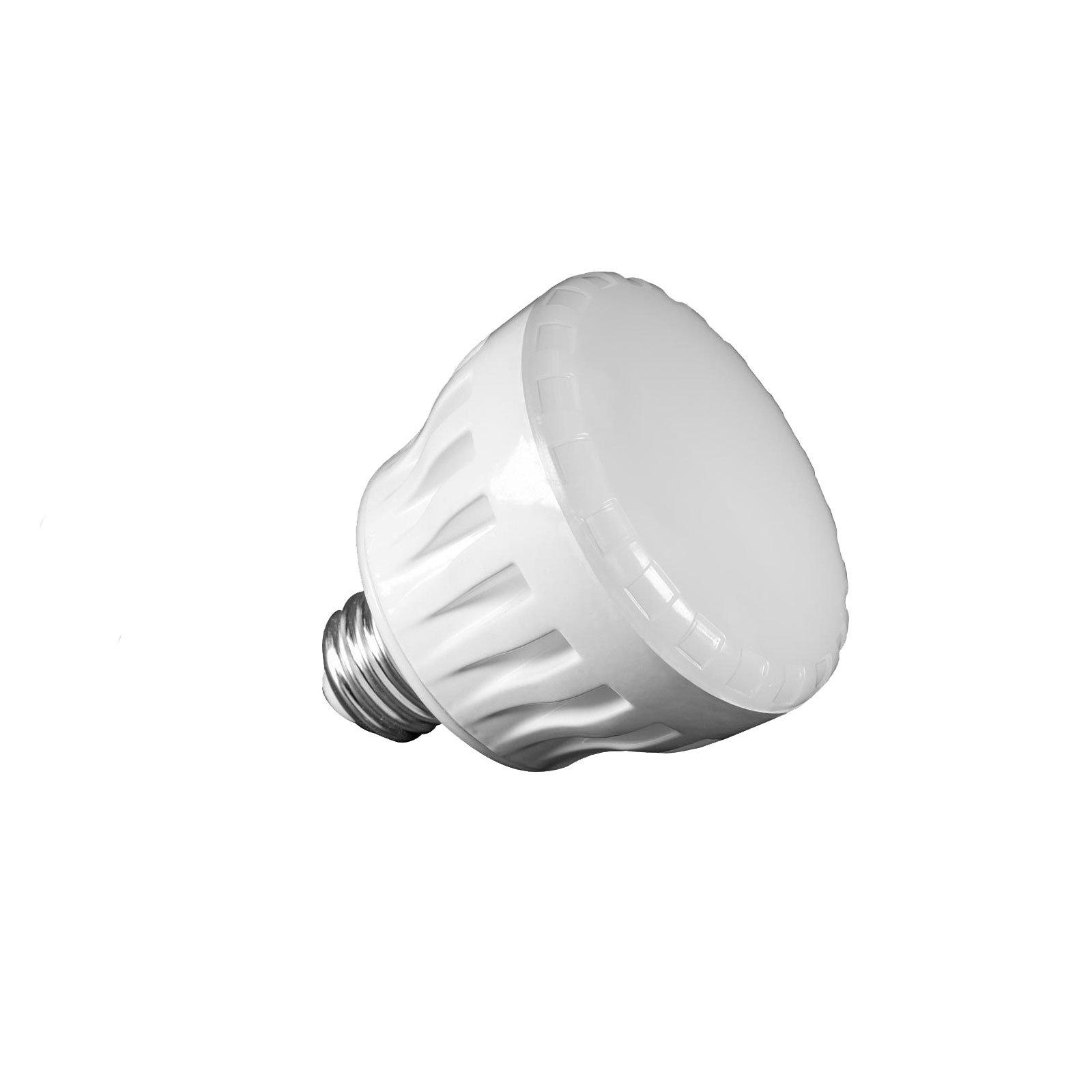 J&J Electronics  12V 13W PureWhite Cool White LED Spa Lamp