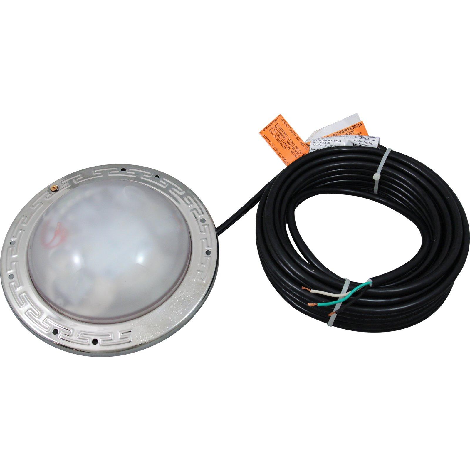 IntelliBrite Architecural Pool Light, White LED, 115v, 100ft, 500W