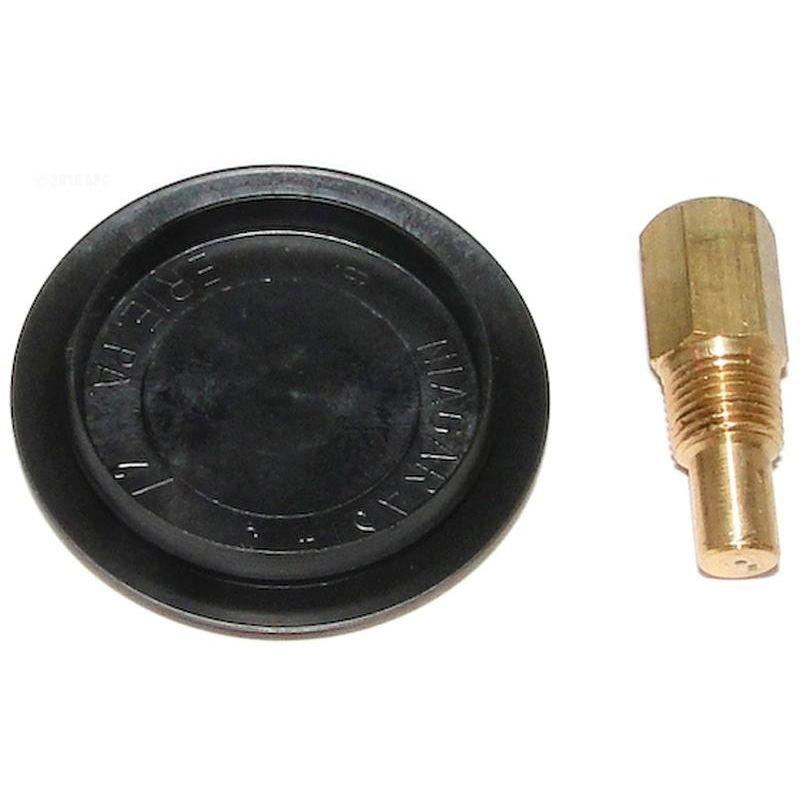 Raypak - Rear Drain Plug and Cover