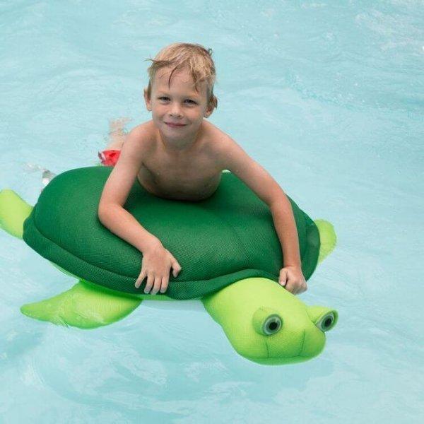 Big Joe  Pool Petz