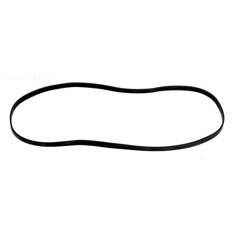 Hayward  Ribbon Gasket Current