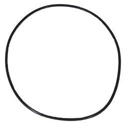 Hayward  O-Ring