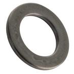 Pentair  Washer 5/8in OD 3/8in ID 1/16in Thick SS