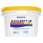 Leslie's  Alkalinity Up Increaser