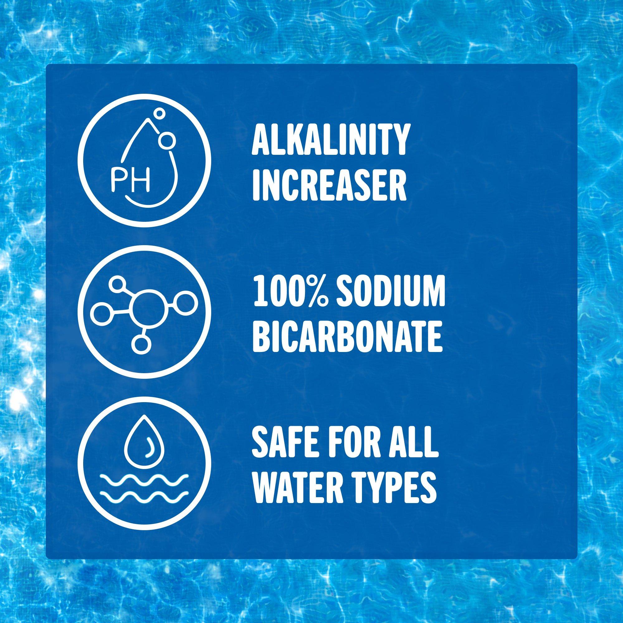 Leslie's  Alkalinity Up 2 lbs