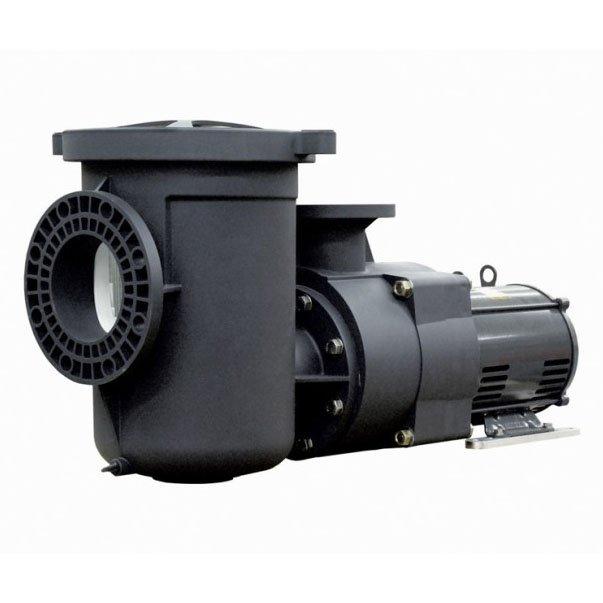 Pentair - 357070S Pump Motor Single Speed, 10 HP, 3 Phase, 208V-230V/460V