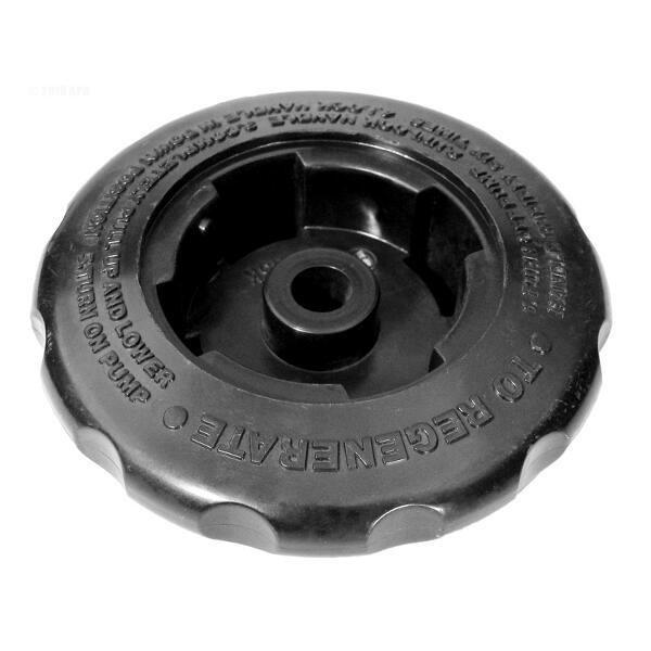 Hayward  Piston Knob