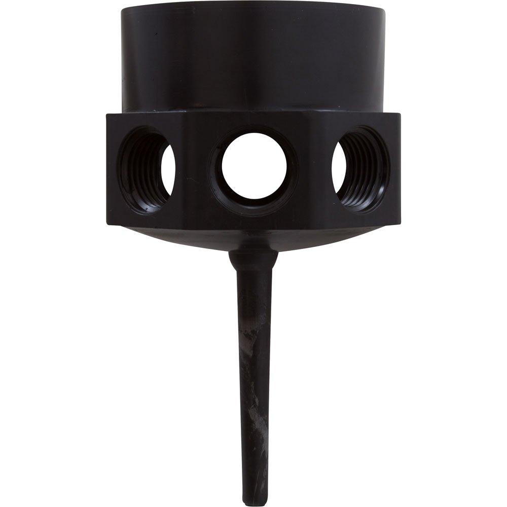 Hub with Sprue- Tagelus