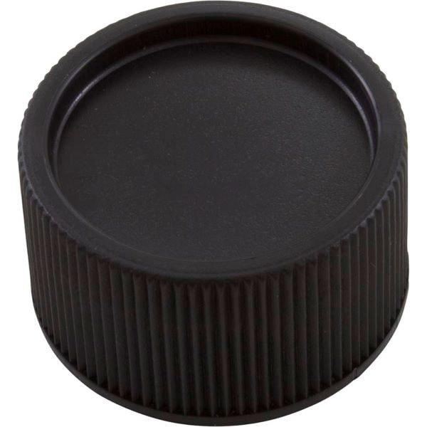 Pentair  Drain Cap for Clean  Clear
