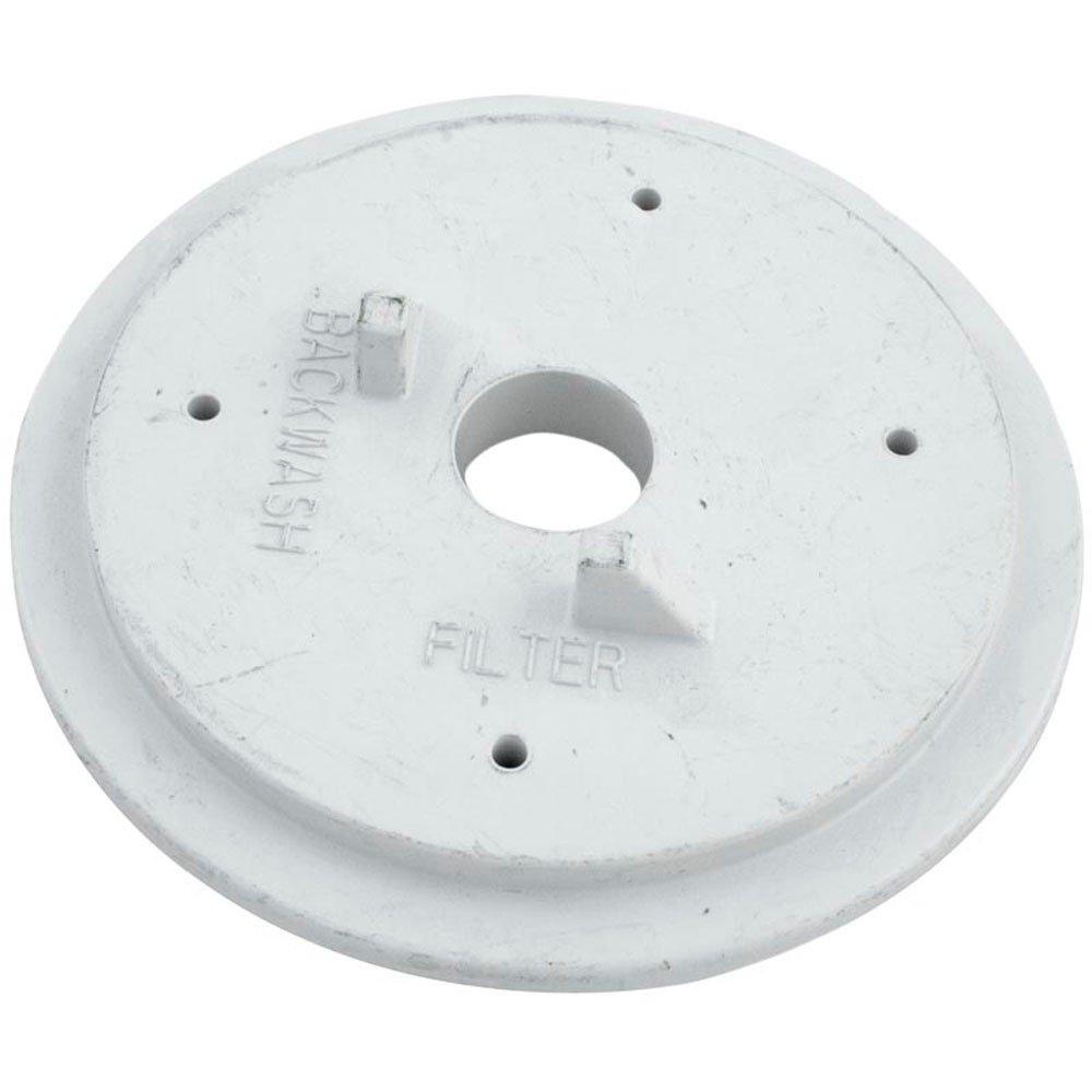 Pentair - Cap Insert